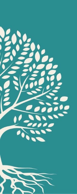 Sandra Gutiérrez Vega